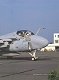 VA-115 Eagles ~ Sayonara Japan