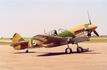 P-40 Warhawk
