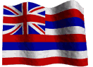 Hawaiian Flag