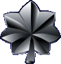 Commander's Oakleaf